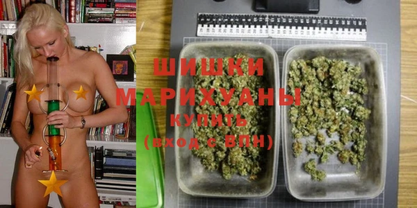 PSILOCYBIN Козловка