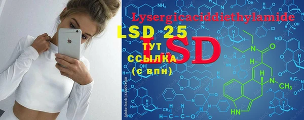 PSILOCYBIN Костерёво