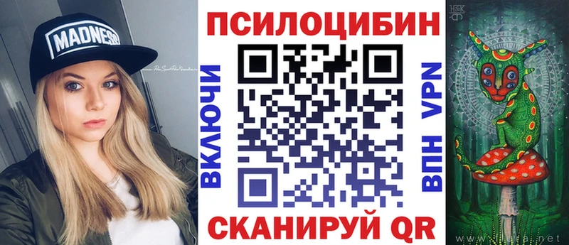 как найти наркотики  Черноголовка  Псилоцибиновые грибы ЛСД 